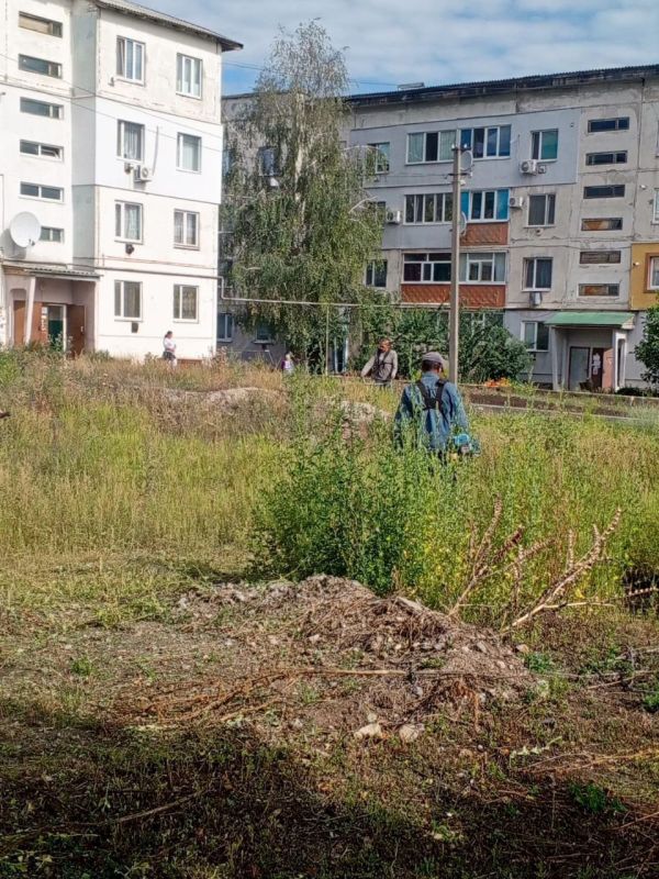 Коммунальные службы принято ругать Коммунальные службы принято ругать