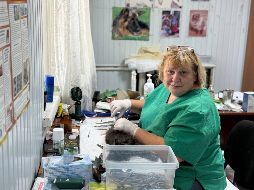 Виктория Сергеева: Выношу благодарность Благотворительному фонду защиты животных "Дино" и их партнерам, а также активным Кировчанам за проделанную работу по стерилизации и вакцинации безнадзорных животных на территории... Виктория Сергеева: Выношу благодарность Благотворительному фонду защиты животных "Дино" и их партнерам, а также активным Кировчанам за проделанную работу по стерилизации и вакцинации безнадзорных животных на территории...