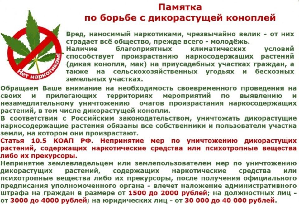 Сотрудники подразделений по контролю за оборотом наркотиков МВД по Луганской Народной Республике проводят на территории субъекта оперативно-профилактическое мероприятие под условным наименованием «Мак-2025», в связи с чем... Сотрудники подразделений по контролю за оборотом наркотиков МВД по Луганской Народной Республике проводят на территории субъекта оперативно-профилактическое мероприятие под условным наименованием «Мак-2025», в связи с чем...