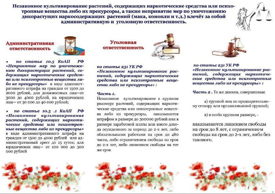 Сотрудники подразделений по контролю за оборотом наркотиков МВД по Луганской Народной Республике проводят на территории субъекта оперативно-профилактическое мероприятие под условным наименованием «Мак-2025», в связи с чем... Сотрудники подразделений по контролю за оборотом наркотиков МВД по Луганской Народной Республике проводят на территории субъекта оперативно-профилактическое мероприятие под условным наименованием «Мак-2025», в связи с чем...