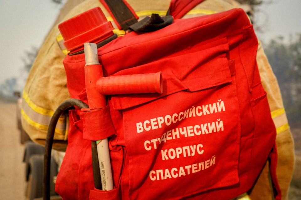 Они стали щитом от огня. Добровольцы Луганского и Свердловского РО ВСКС приступили к ликвидации ландшафтных пожаров в поселке Ольховские дачи под Станицей Луганской Они стали щитом от огня. Добровольцы Луганского и Свердловского РО ВСКС приступили к ликвидации ландшафтных пожаров в поселке Ольховские дачи под Станицей Луганской