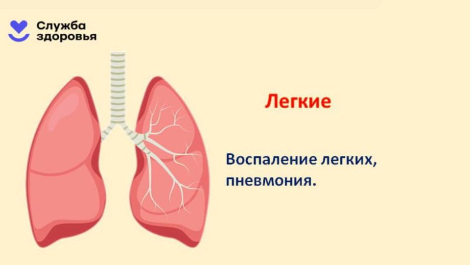 Алкоголь — главная угроза здоровью Алкоголь — главная угроза здоровью