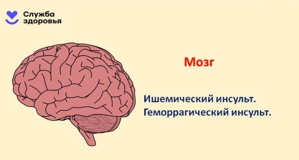 Алкоголь — главная угроза здоровью Алкоголь — главная угроза здоровью
