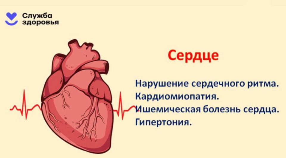 Алкоголь — главная угроза здоровью Алкоголь — главная угроза здоровью