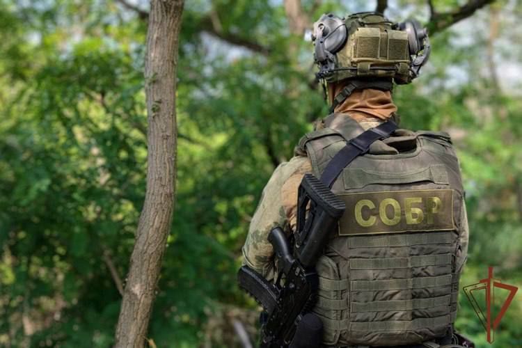 В ЛНР при силовой поддержке спецназа Росгвардии задержан бывший военнослужащий украинского нацбатальона