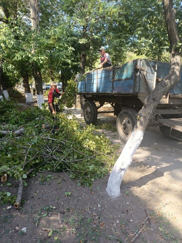 В рамках работ по благоустройству городских территорий коммунальщики продолжают удаление аварийных и омоложение старых деревьев на территории городского округа, а также вывоз растительных остатков В рамках работ по благоустройству городских территорий коммунальщики продолжают удаление аварийных и омоложение старых деревьев на территории городского округа, а также вывоз растительных остатков