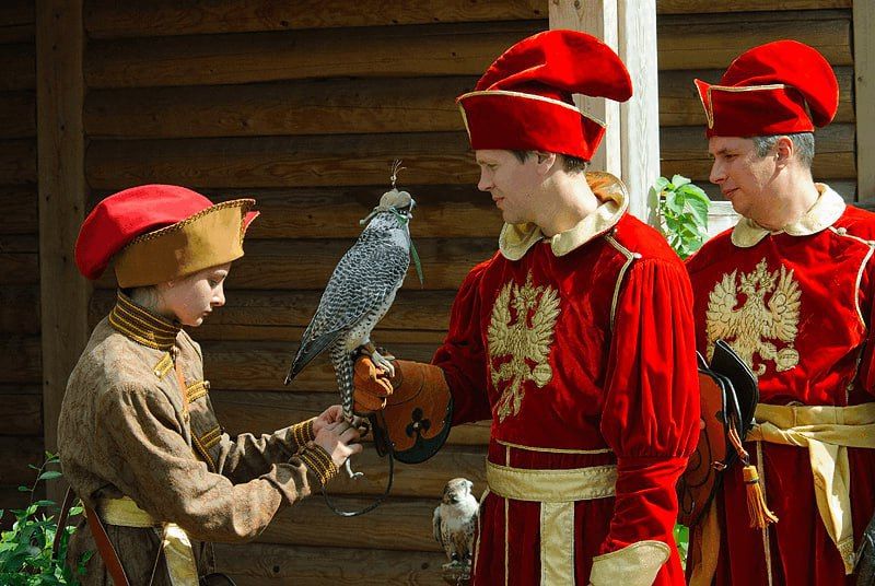 Соколиная охота на Руси: царская забава и дипломатическое оружие Соколиная охота на Руси: царская забава и дипломатическое оружие