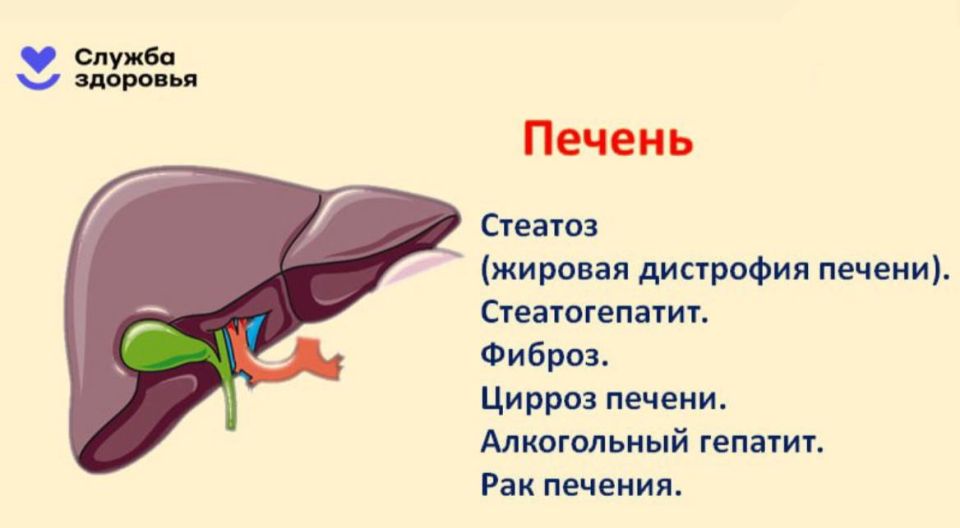 Алкоголь — главная угроза здоровью Алкоголь — главная угроза здоровью