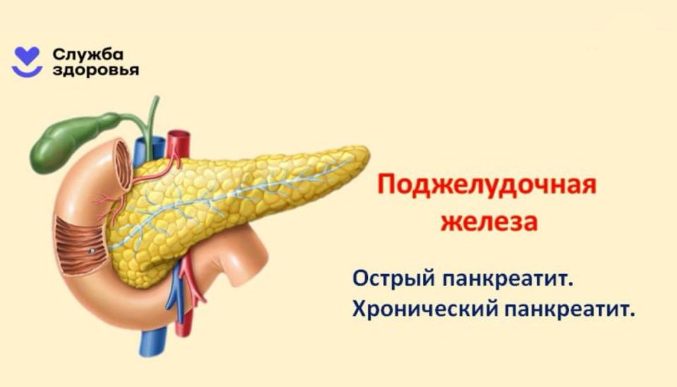 Алкоголь — главная угроза здоровью Алкоголь — главная угроза здоровью