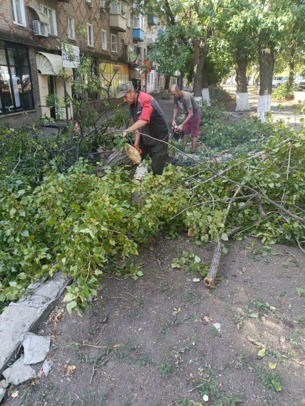 В рамках работ по благоустройству городских территорий коммунальщики продолжают удаление аварийных и омоложение старых деревьев на территории городского округа, а также вывоз растительных остатков В рамках работ по благоустройству городских территорий коммунальщики продолжают удаление аварийных и омоложение старых деревьев на территории городского округа, а также вывоз растительных остатков