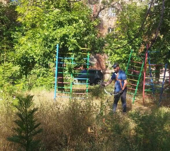 В Алчевске продолжаются работы по покосу травы В Алчевске продолжаются работы по покосу травы