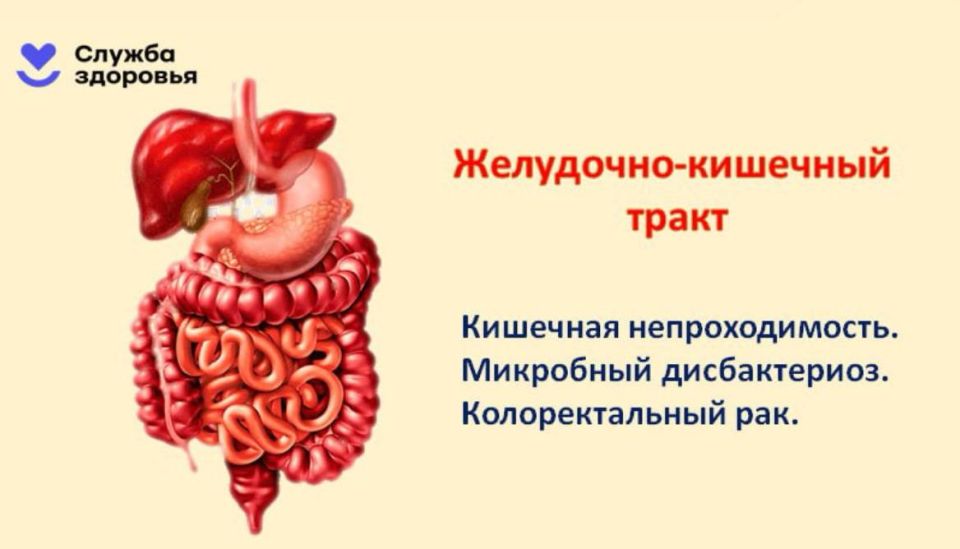 Алкоголь — главная угроза здоровью Алкоголь — главная угроза здоровью