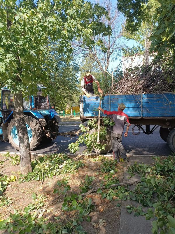 В рамках работ по благоустройству городских территорий коммунальщики продолжают удаление аварийных и омоложение старых деревьев на территории городского округа, а также вывоз растительных остатков В рамках работ по благоустройству городских территорий коммунальщики продолжают удаление аварийных и омоложение старых деревьев на территории городского округа, а также вывоз растительных остатков