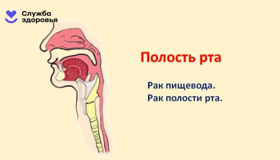 Алкоголь — главная угроза здоровью Алкоголь — главная угроза здоровью