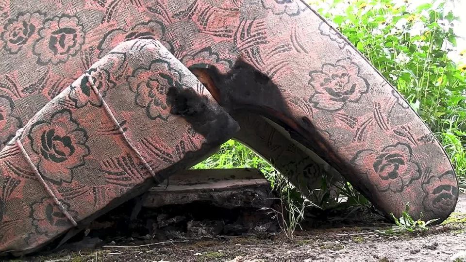 Ирина Волк: Очередной пример того, как сотрудники полиции, рискуя собой, приходят на помощь гражданам