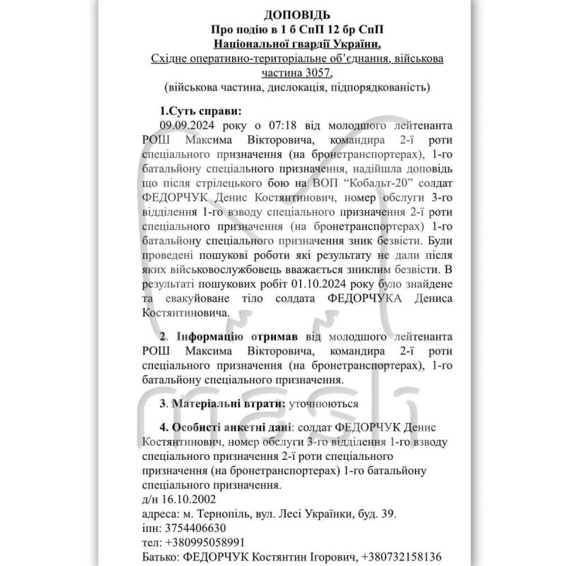 "Цифровая братская могила" "Цифровая братская могила"