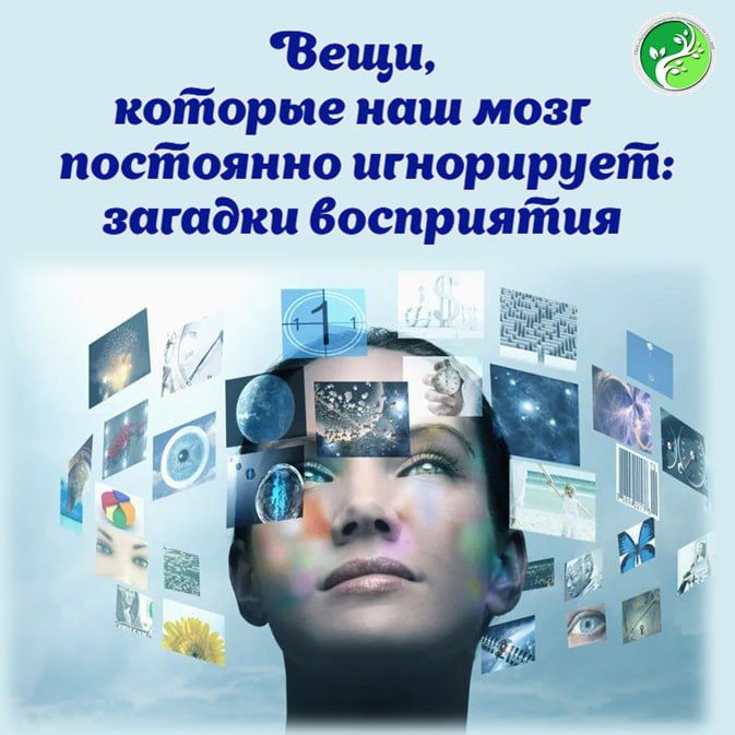 Программа долгосрочных сбережений:Новые возможности для инвестиций Программа долгосрочных сбережений:Новые возможности для инвестиций