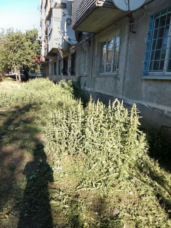 Начинаем субботнее утро с приятных дел! Команда ООО "Арнстрой" уже на месте, чтобы делать придомовые территории многоквартирных домов в пгт Ясеновский еще чище и красивее Начинаем субботнее утро с приятных дел! Команда ООО "Арнстрой" уже на месте, чтобы делать придомовые территории многоквартирных домов в пгт Ясеновский еще чище и красивее