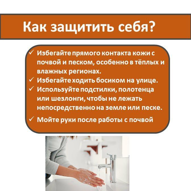 Кожная мигрирующая личинка — необычное заболевание, которое возникает из-за проникновения в кожу паразитарных личинок Кожная мигрирующая личинка — необычное заболевание, которое возникает из-за проникновения в кожу паразитарных личинок
