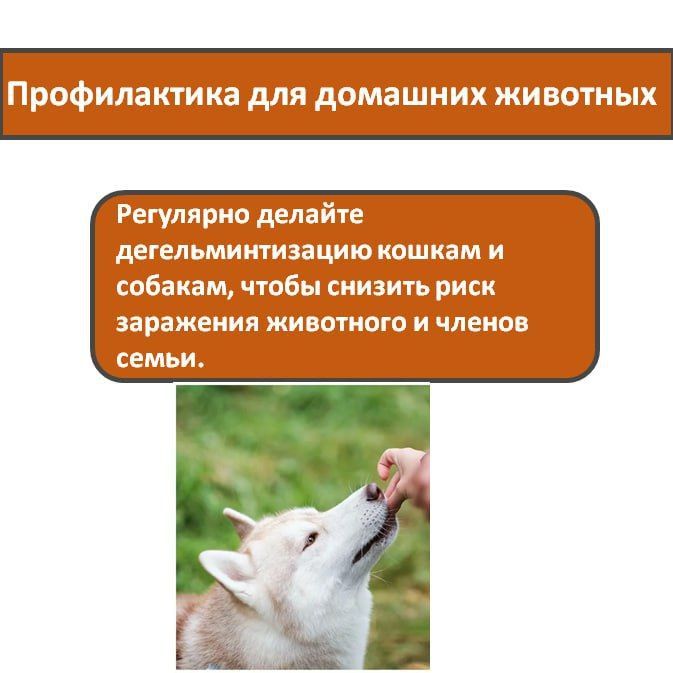 Кожная мигрирующая личинка — необычное заболевание, которое возникает из-за проникновения в кожу паразитарных личинок Кожная мигрирующая личинка — необычное заболевание, которое возникает из-за проникновения в кожу паразитарных личинок
