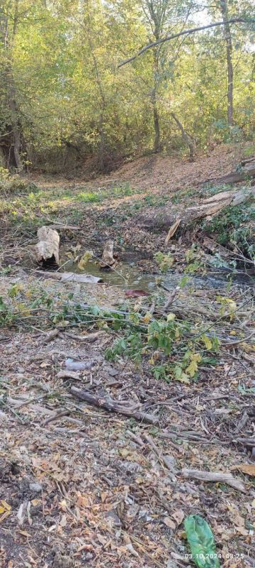 Тепловский отдел жизнеобеспечения принял участие в акции «Вода России» Тепловский отдел жизнеобеспечения принял участие в акции «Вода России»