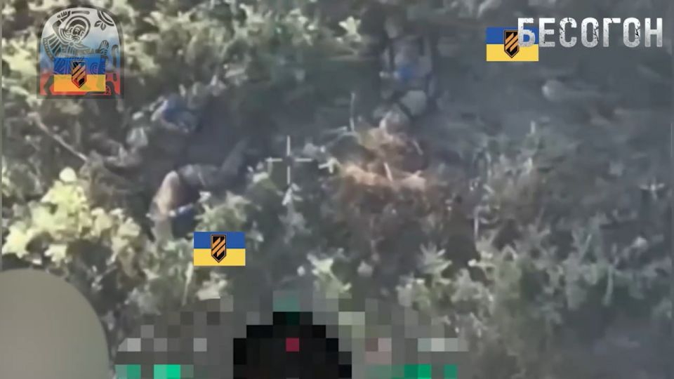 Работа FPV-дронов по технике и пехоте 3-го армейского корпуса ВСУ, контратакующего позиции ВС РФ в районе села Новомихайловка на стыке ДНР, ЛНР и Харьковской области Работа FPV-дронов по технике и пехоте 3-го армейского корпуса ВСУ, контратакующего позиции ВС РФ в районе села Новомихайловка на стыке ДНР, ЛНР и Харьковской области