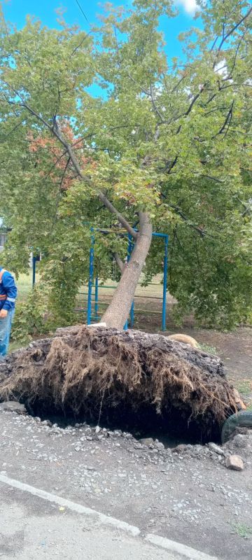 Виктория Сергеева: Коммунальщики в действии. В Кировске коммунальные службы активно проводят работы по благоустройству территории городского округа Виктория Сергеева: Коммунальщики в действии. В Кировске коммунальные службы активно проводят работы по благоустройству территории городского округа