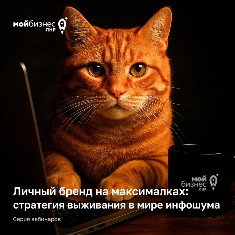 Вебинары в помощь предпринимателям
