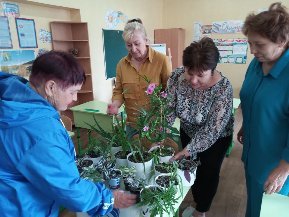 Зеленые помощники: меловские единороссы передали школе комнатные растения Зеленые помощники: меловские единороссы передали школе комнатные растения