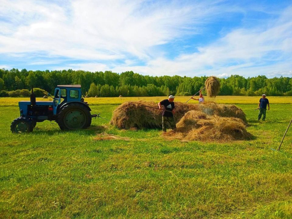Уборочная кампания в объективе участников Всероссийского конкурса фотографий и видеороликов «Российское село» Уборочная кампания в объективе участников Всероссийского конкурса фотографий и видеороликов «Российское село»