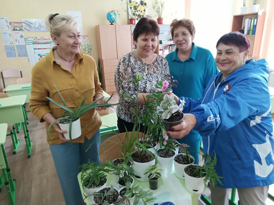 Зеленые помощники: меловские единороссы передали школе комнатные растения Зеленые помощники: меловские единороссы передали школе комнатные растения