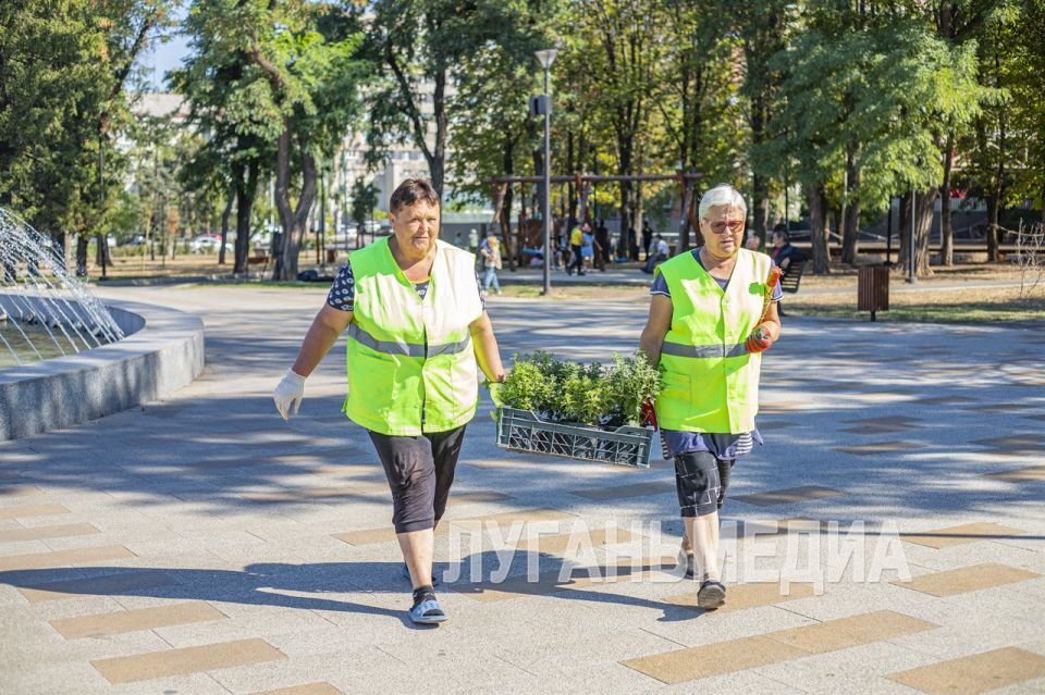 Луганские озеленители проводят плановые работы по благоустройству Луганские озеленители проводят плановые работы по благоустройству
