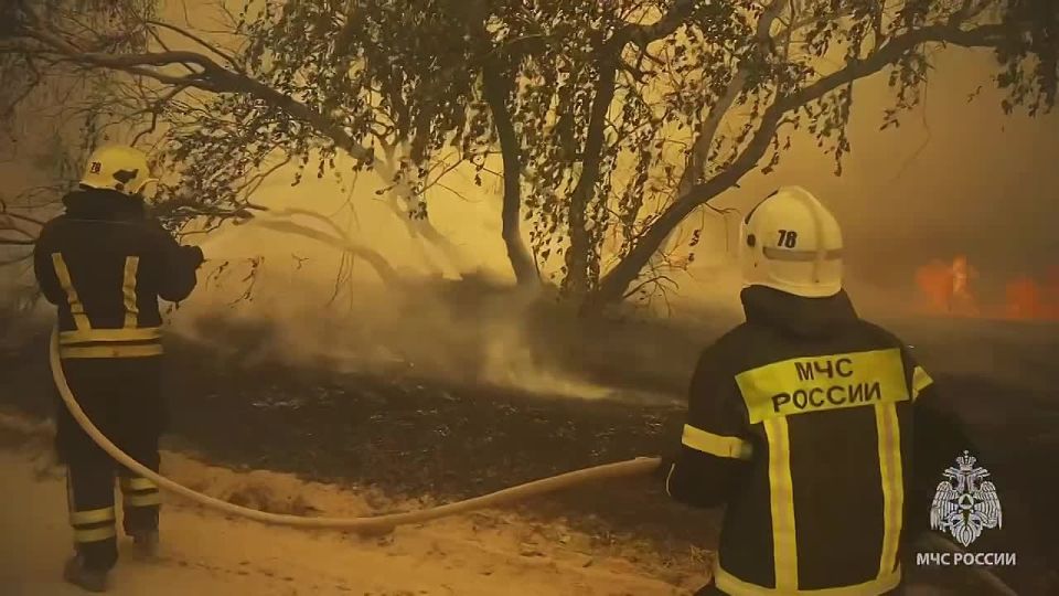 О пожарах на территории ЛНР за минувшие сутки