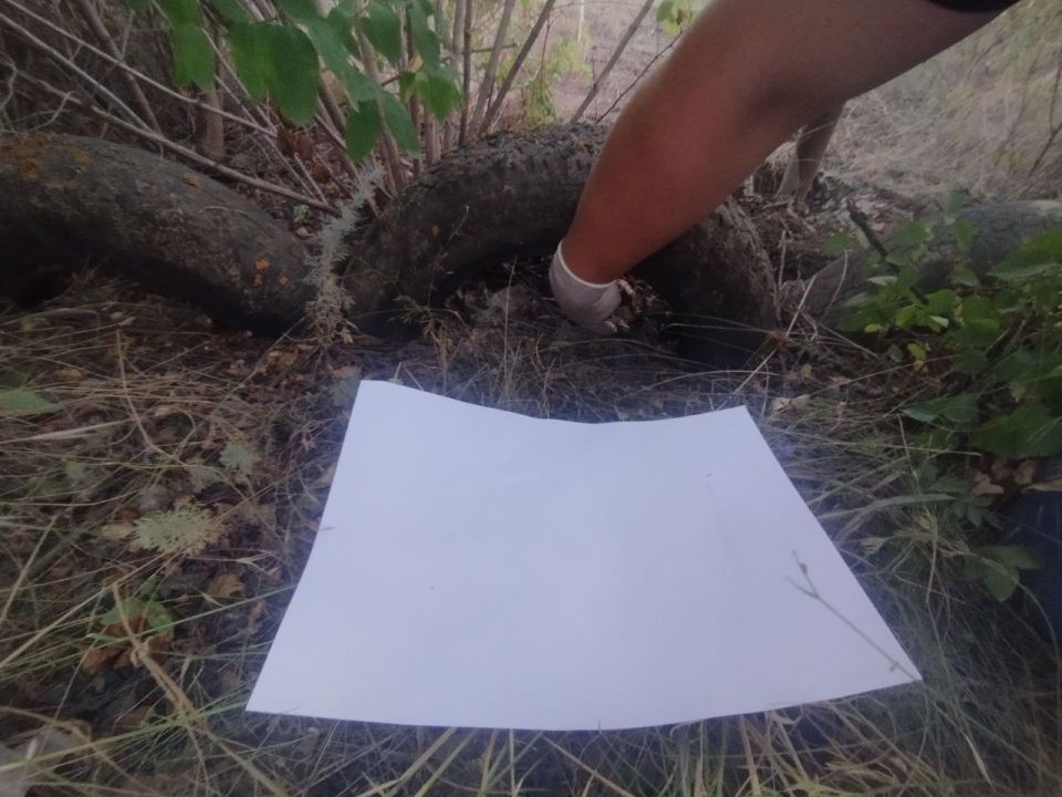 В Лутугинском районе при попытке купить наркотики задержана женщина В Лутугинском районе при попытке купить наркотики задержана женщина