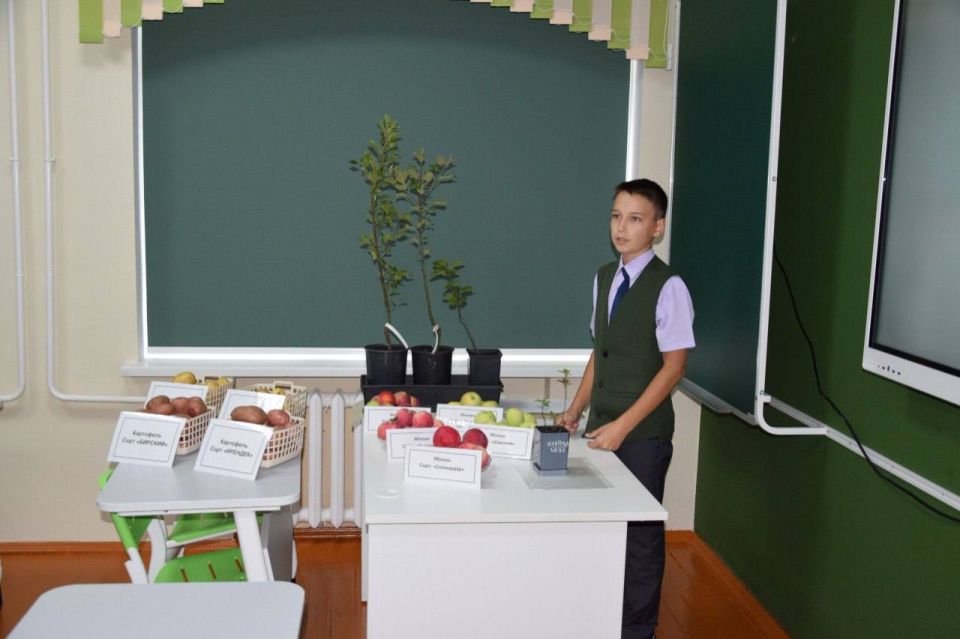 Первый раз — в агрокласс. Сегодня 585 классов с агротехнологическим профилем открыли свои двери перед будущими специалистами сельского хозяйства Первый раз — в агрокласс. Сегодня 585 классов с агротехнологическим профилем открыли свои двери перед будущими специалистами сельского хозяйства