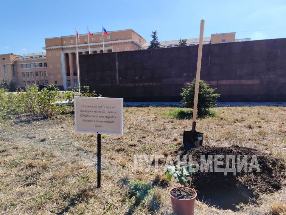 Стахановчане отметили День освобождения города Стахановчане отметили День освобождения города