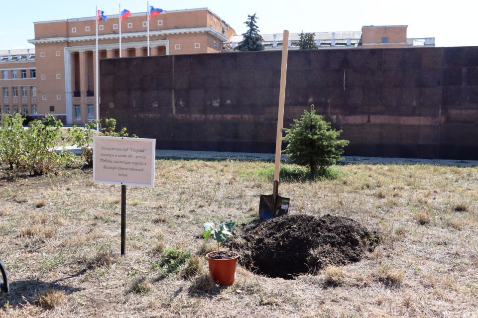 В Стаханове высадили «Петровские дубы» В Стаханове высадили «Петровские дубы»