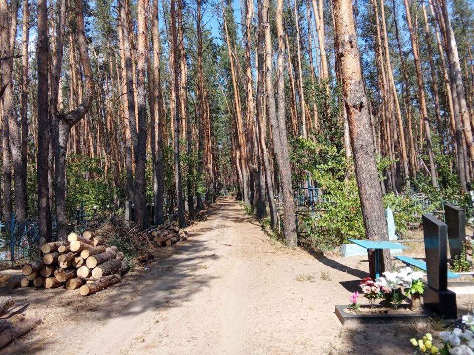 Владимир Чернев: Муниципальное бюджетное учреждение «Ритуальная служба» провело масштабный этап благоустройства территории кладбища в селе Чмировка Владимир Чернев: Муниципальное бюджетное учреждение «Ритуальная служба» провело масштабный этап благоустройства территории кладбища в селе Чмировка
