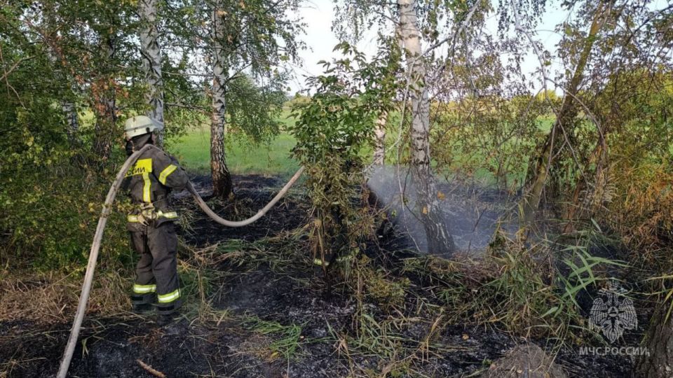 Пожар в экосистеме — одно из наиболее опасных и разрушительных явлений Пожар в экосистеме — одно из наиболее опасных и разрушительных явлений