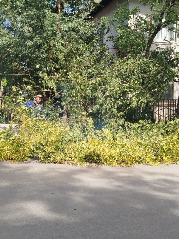 Глава Старобельского муниципального округа Владимир Чернев лично контролирует работу по благоустройству территории округа Глава Старобельского муниципального округа Владимир Чернев лично контролирует работу по благоустройству территории округа