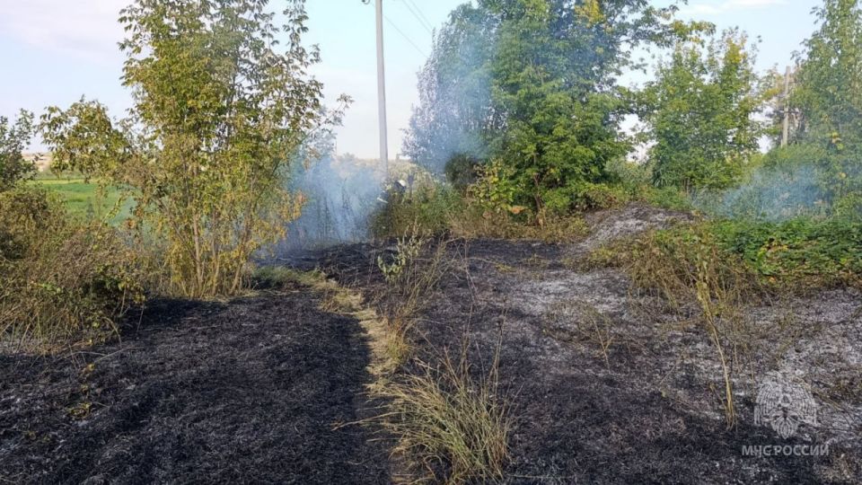 Пожар в экосистеме — одно из наиболее опасных и разрушительных явлений Пожар в экосистеме — одно из наиболее опасных и разрушительных явлений