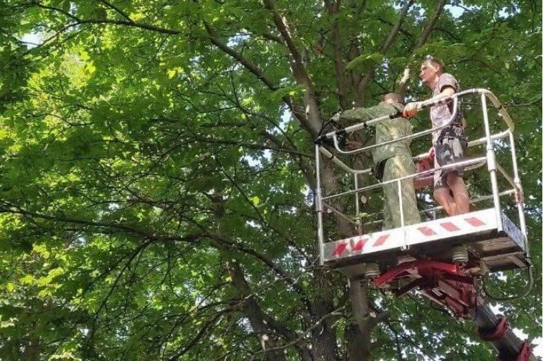 Сила в действии: Аварийно-восстановительная бригада Тувы отмечает 3 года работы в ЛНР Сила в действии: Аварийно-восстановительная бригада Тувы отмечает 3 года работы в ЛНР