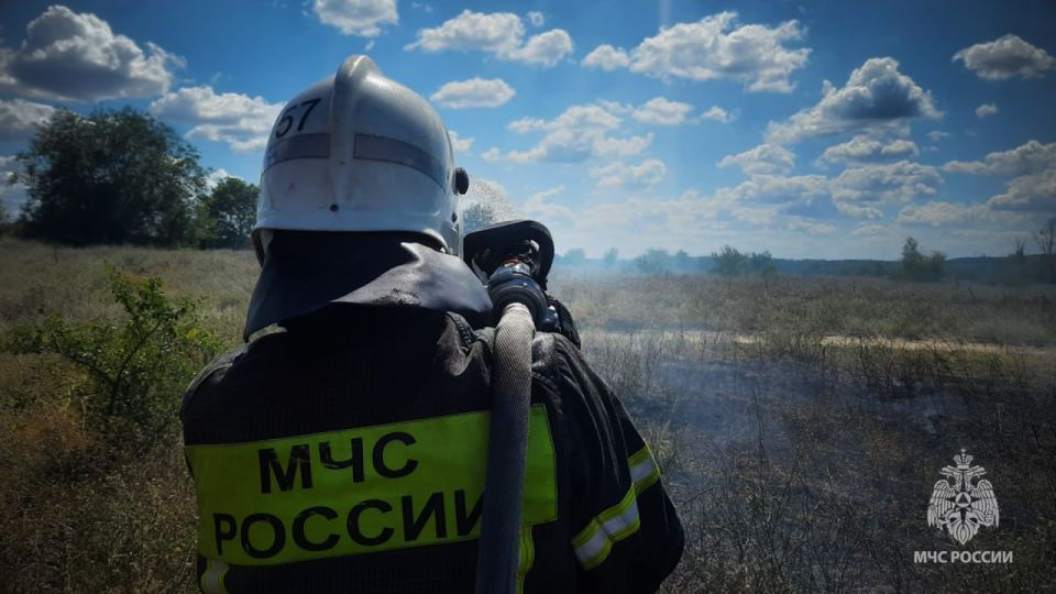Спасатели МЧС России продолжают бороться с сухотравными пожарами Спасатели МЧС России продолжают бороться с сухотравными пожарами