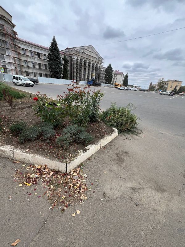 Сергей Козенко: В Краснодонском муниципальном округе продолжаем системную работу по благоустройству Сергей Козенко: В Краснодонском муниципальном округе продолжаем системную работу по благоустройству