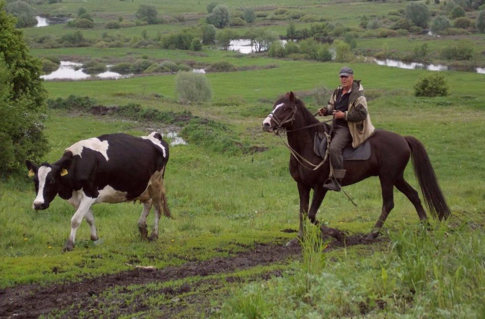 Успей до 14 сентября – заканчивается приём заявок на Всероссийский конкурс фотографий и видеороликов партийного проекта «Единой России» «Российское село» Успей до 14 сентября – заканчивается приём заявок на Всероссийский конкурс фотографий и видеороликов партийного проекта «Единой России» «Российское село»