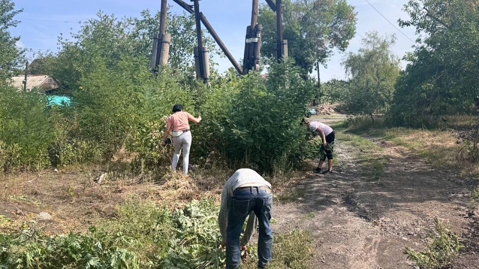 Благоустройство придорожной территории по улице Волкова пгт Дзержинский! Благоустройство придорожной территории по улице Волкова пгт Дзержинский!