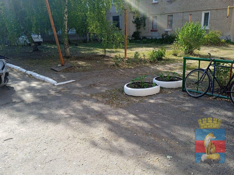 В Новодружеске в рамках благоустройства города проводится покос травы, побелка бордюр и деревьев, а так же уборка улиц и площади В Новодружеске в рамках благоустройства города проводится покос травы, побелка бордюр и деревьев, а так же уборка улиц и площади