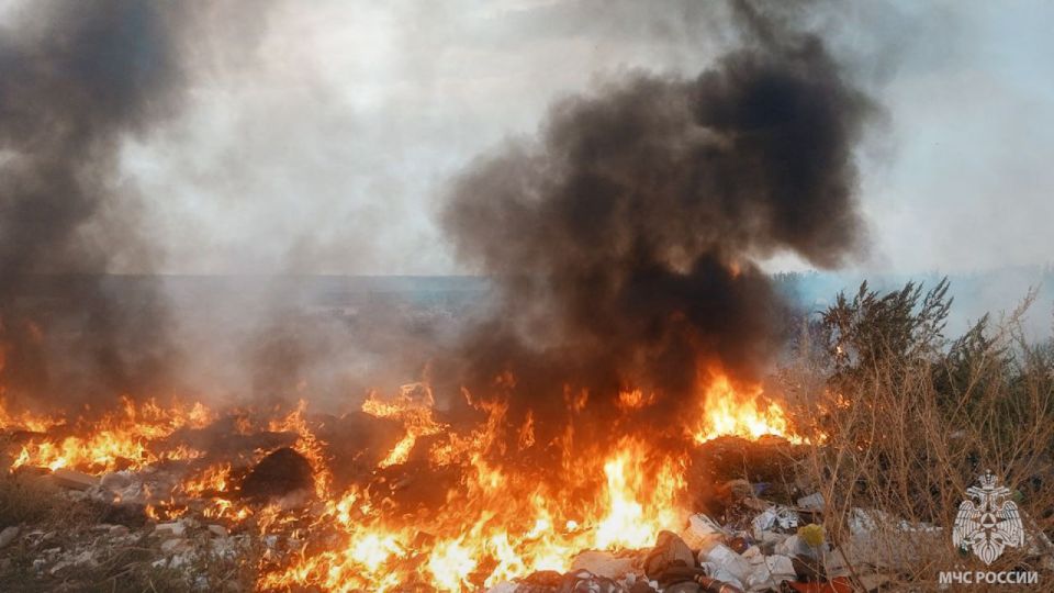 На минувших сутках в ЛНР ликвидировано 25 ландшафтных пожаров На минувших сутках в ЛНР ликвидировано 25 ландшафтных пожаров