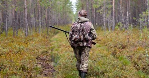 Минприроды ЛНР информирует об изменении с 11 сентября графика приема заявлений на выдачу и аннулирование охотничьего билета единого федерального образца