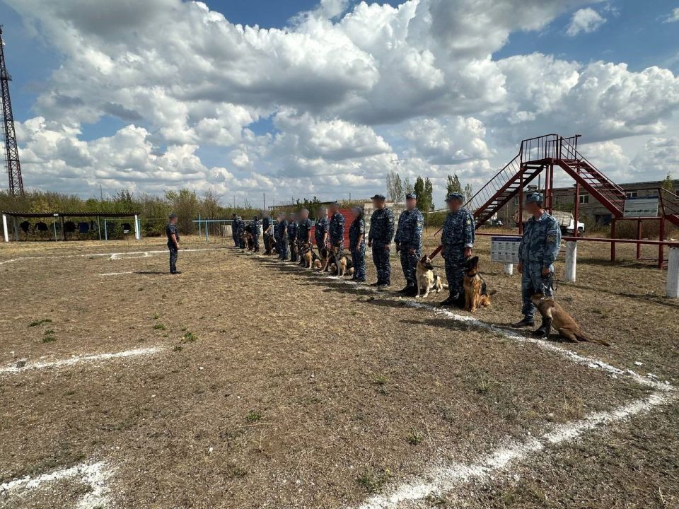 Личный состав кинологических отделений регионального УФСИН принял участие в учебно-методических сборах Личный состав кинологических отделений регионального УФСИН принял участие в учебно-методических сборах